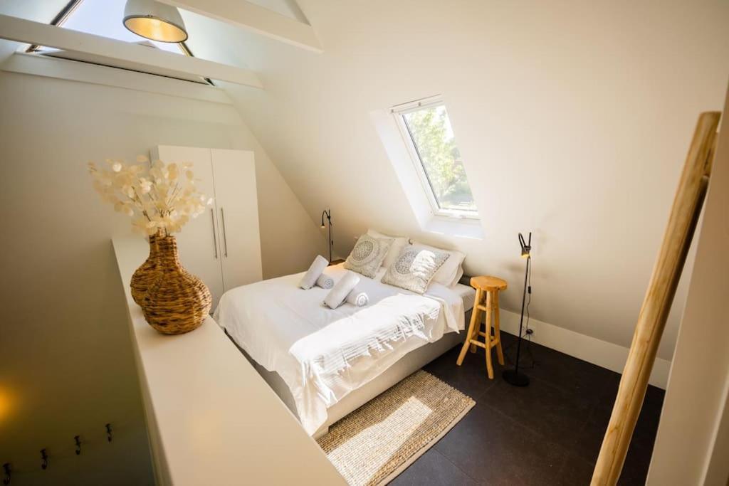 Wonderful 50M2 Loft Eindhoven - Ks8 Lejlighed Eksteriør billede